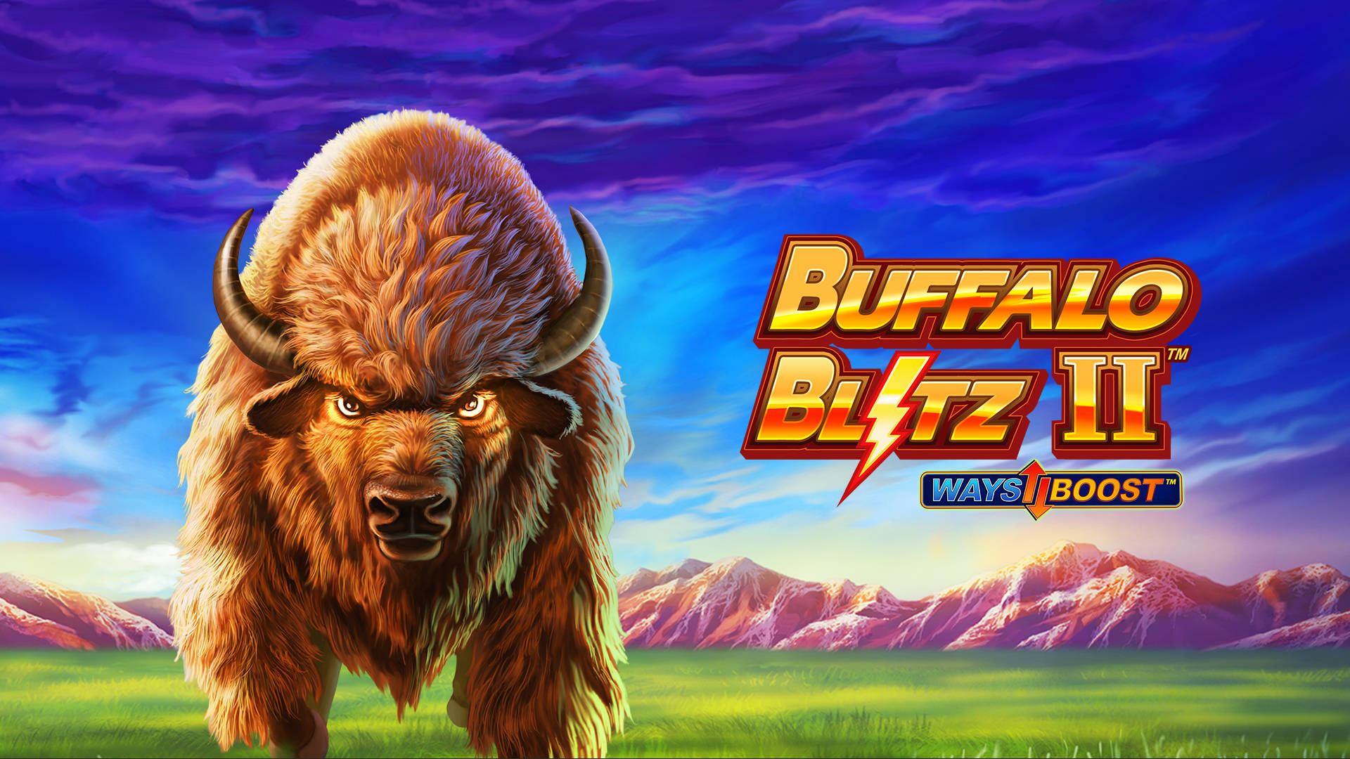 Buffalo Blitz II