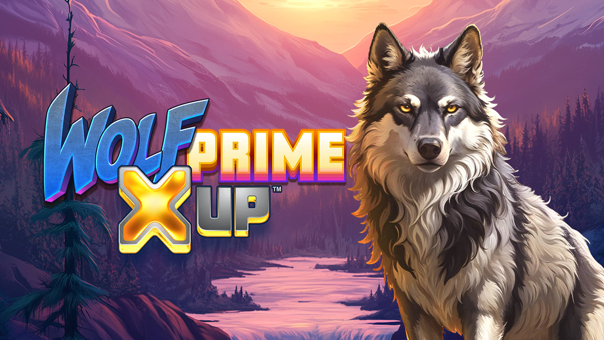 Wolf Prime X UP